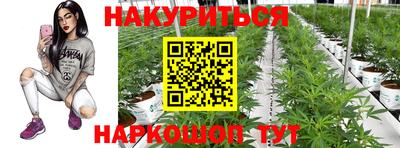 СК Конаково