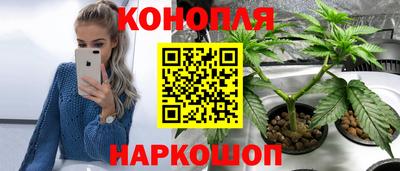 СК Коммунар